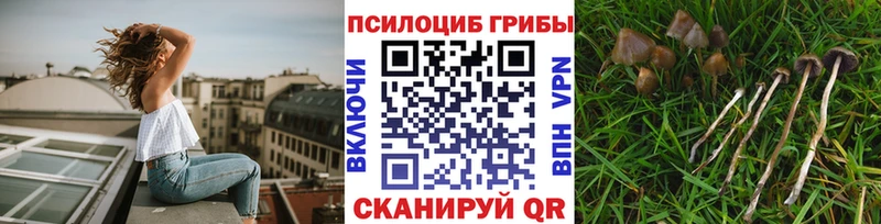 Псилоцибиновые грибы мицелий  даркнет сайт  Лукоянов 